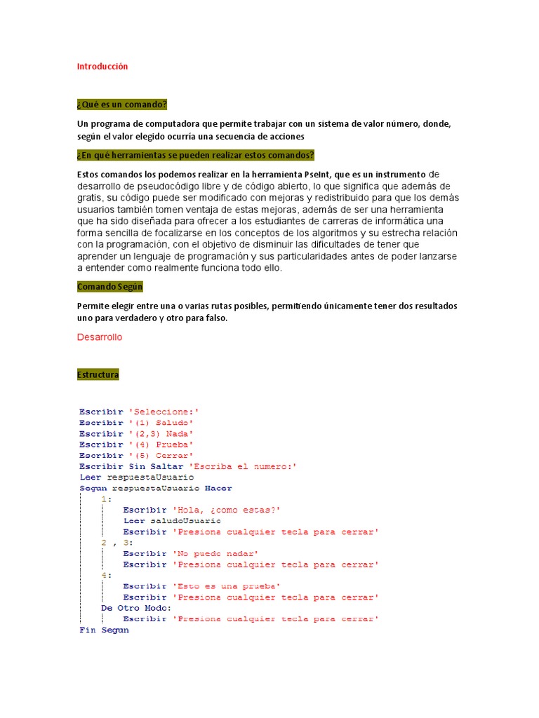 Qué Es Un Comando | PDF