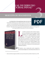 Selección de Fragmentos - Lecceciones de Derecho Procesal Penal (1996)