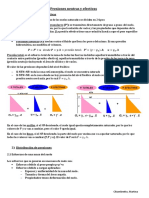 Presiones Neutras y Efectivas PDF