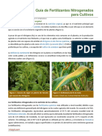 106. Guia de Fertilizantes Nitrogenados para Cultivos.pdf