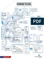 Derrame Pleural