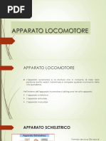 Apparato Locomotore PDF