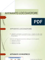 Apparato Locomotore PDF