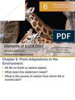 Ecology Presentation - 1