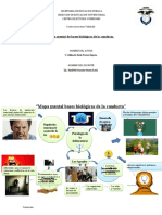 Mapa Mental Bases Biologicas de La Conducta