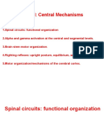 proprioceptive receptors and connectionsCoordinator: cerebellumRegulator: basal ganglia and motor cortexTogether these systems provide:- Upright posture- Equilibrium- Orientation during movement