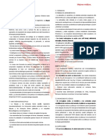 Villamemo Neumo PDF