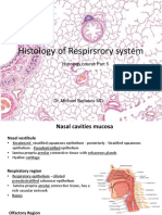 Respiratory System