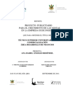Proyecto Publicitario Ejemplo para Una Empresa Mexicana PDF