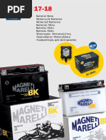 Magneti