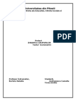 ANDRONESCU_TIROIU_Test_Sociometric_170120_UP.pdf