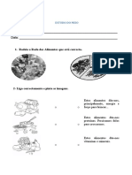 Estudo Do Meio Ficha