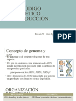 17 - Cod Genetico - Traduccion (2) .PPTX - 0
