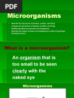 Basic Lesson Plan Class 8 Microorganism Friend and Foe | PDF ...