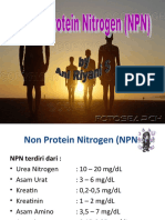 Presentation NPN