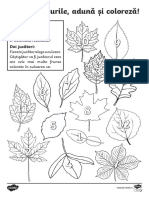 Aduna Numerele de Pe Zar Si Coloreaza Frunzele - Joc PDF