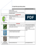 U4.l2. Protiste Alge Verzi Unicelulare Protozoare