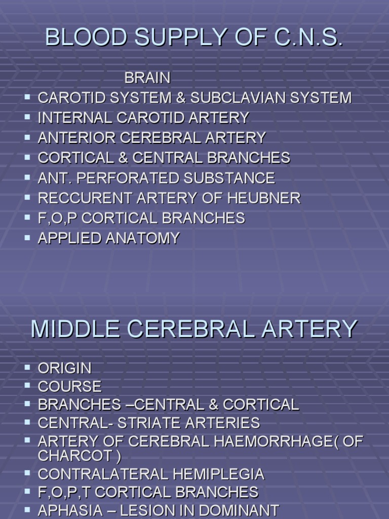 Blood Supply of C | PDF | Spinal Cord | Cerebral Cortex