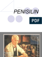 2 Penisilin