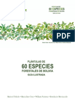 Plantulas de 60 sp forestales