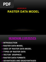 Raster Data Model: A Seminor On