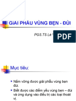 slide ống bẹn