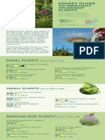 Drought Tolerant Plants PDF