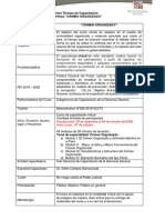 B.-Ficha Tecnica Crimen Organizado PDF