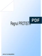 regnul_Protista.pdf