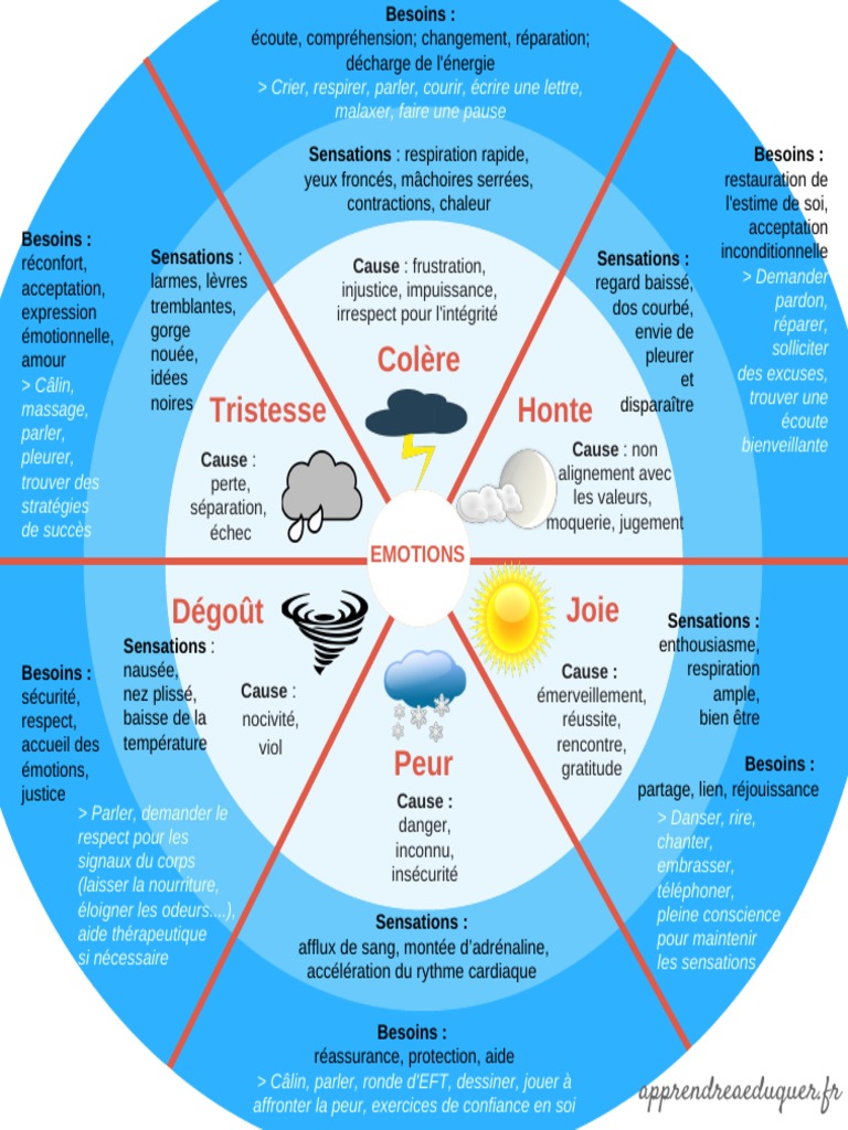 Roue Des motions Guide Pratique Adulte PDF Peur motions