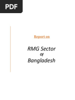 RMG Sector Bangladesh: Report On