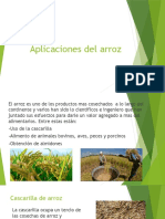 Aplicaciones Del Arroz