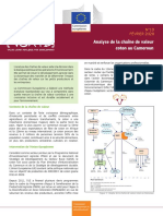 VCA4D 19 - Cameroon Cotton - 2 PDF