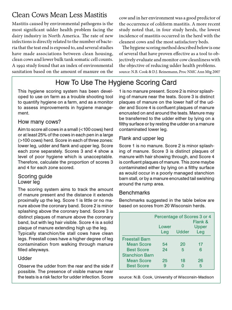 Hygiene Scoring System for Dairy Cows | PDF | Cattle | Public Health