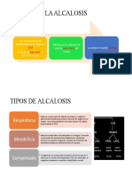 Causas de La Alcalosis