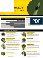 Canola Insect Scouting Guide