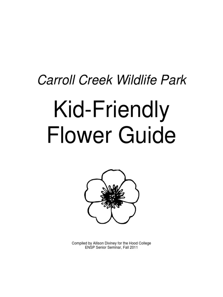 KidFriendly Flower Guide PDF Flowers Botany