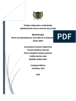 Trabajo Final de Epidemiologia