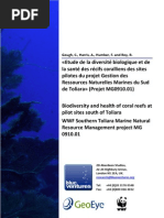 Download Biodiversity and health of coral reefs at pilot sites south of Toliara by HayZara Madagascar SN49032078 doc pdf