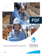 S-PPD-001_V3 Guía del Plan de Prevención de Daños.pdf