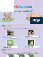Como Nacen Los Animales PDF