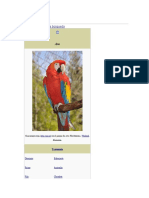 Guacamayos: aves coloridas de la familia Psittacidae