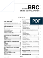 brc.pdf