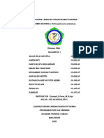 LAPORAN LENGKAP FITOKIMIA KLMPK 1 PDF