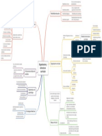 Mapa Conceptual - Organizacion y Estructura Curricular