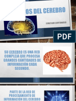 Quimicos Del Cerebro