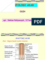 Morfologi Akar: Apt. Subhan Rullyansyah, S.Farm., M.Farm