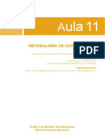 12285710072012quimica Biomoleculas Aula 11 PDF