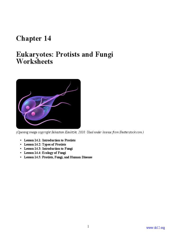 Chapter 14 CK-12 Biology Chapter 14 Worksheets-Dikonversi | PDF ...
