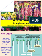 The Seed Plants II. Angiosperms: Major Reference: Plant Systematics by Michael Simpson Various Urls